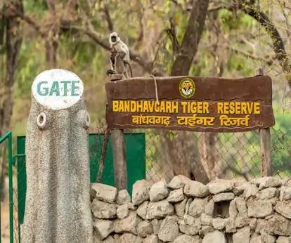 Bandhavgarh Travel Information