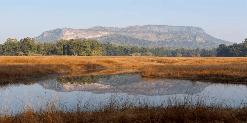 Best Time to Visit Bandhavgarh National Park  